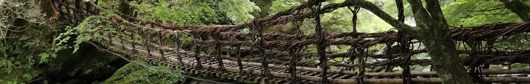 ボードゲームライダーの雑記